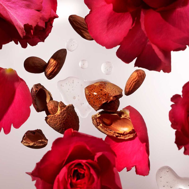 ريتوالز مجموعة ذا ريتوال أوف أورفيدا  متوسط