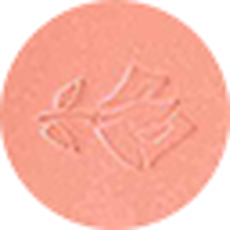 lancome blush subtil