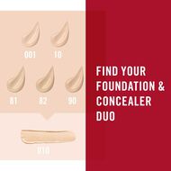 faces match perfection concealer