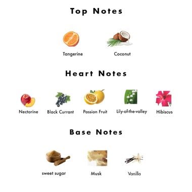 faces زيت الجسم الطبيعي   لوش سيداكشن ٢٤٠ مل