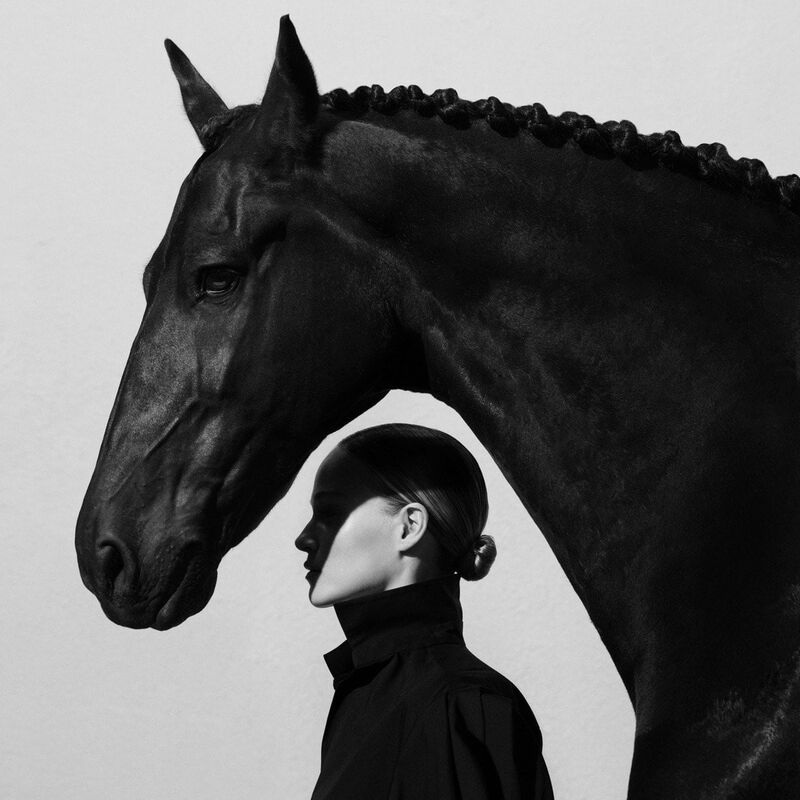 Stallion Leather Suede carolina herrera stallion leather suede