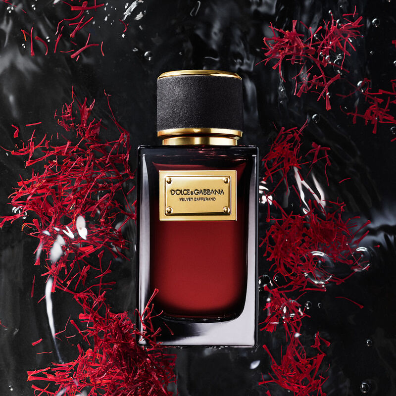 dolce & gabbana velvet zafferano