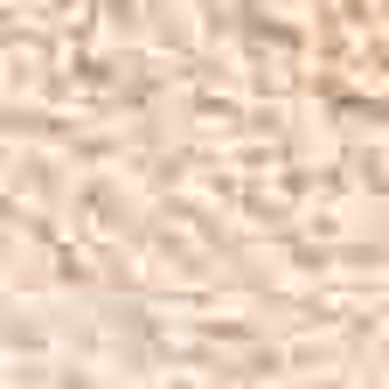 shiseido future solution lx radiance loose powder e