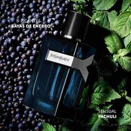 faces y edp intense