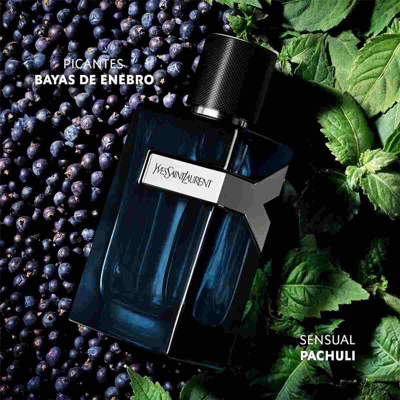 yves saint laurent y edp intense