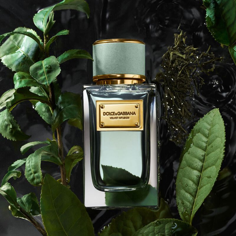 dolce & gabbana velvet infusion