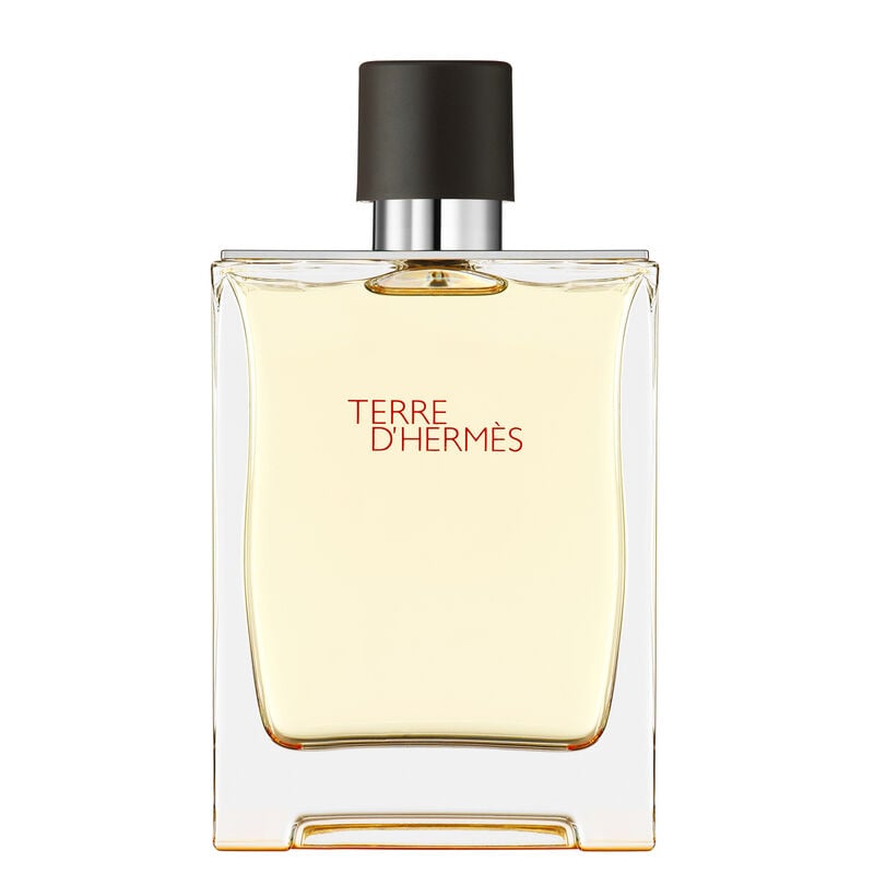 Terre d'Hermès Eau de Toilette hermes terre d'hermes eau de toilette