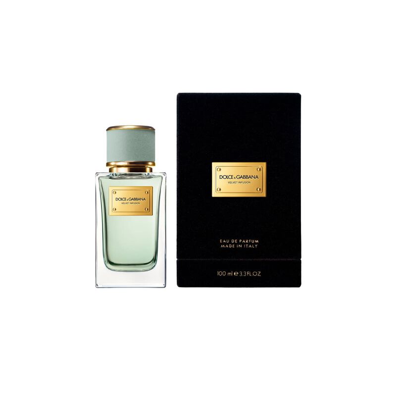 dolce & gabbana velvet infusion