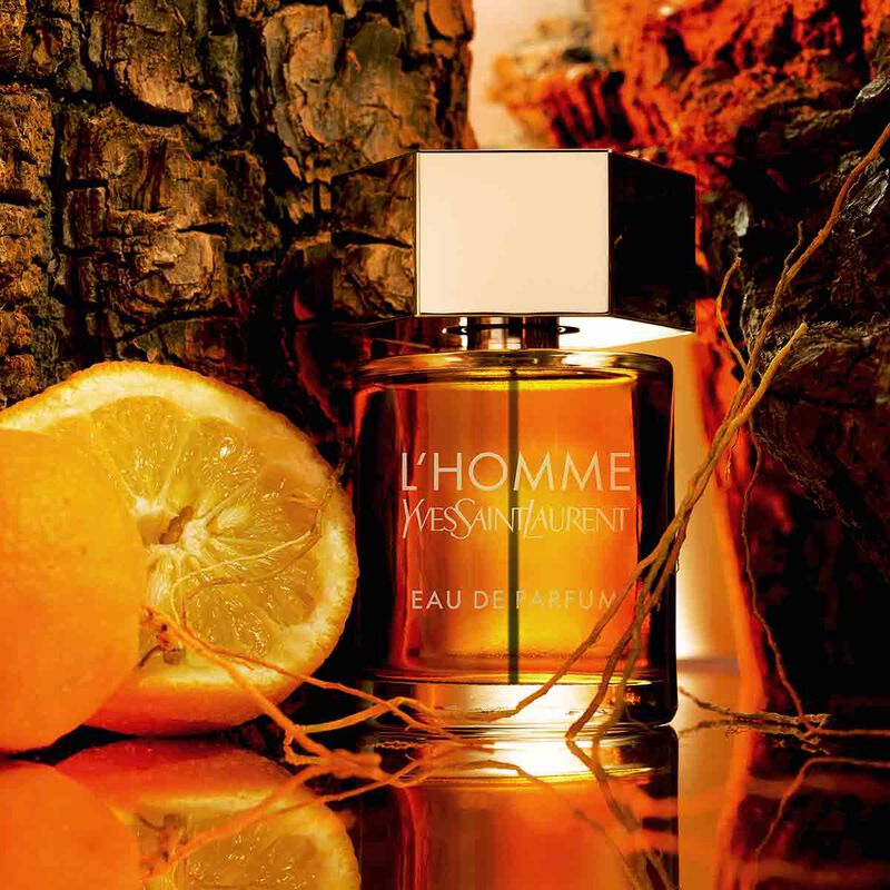 yves saint laurent l'homme eau de parfum 100ml