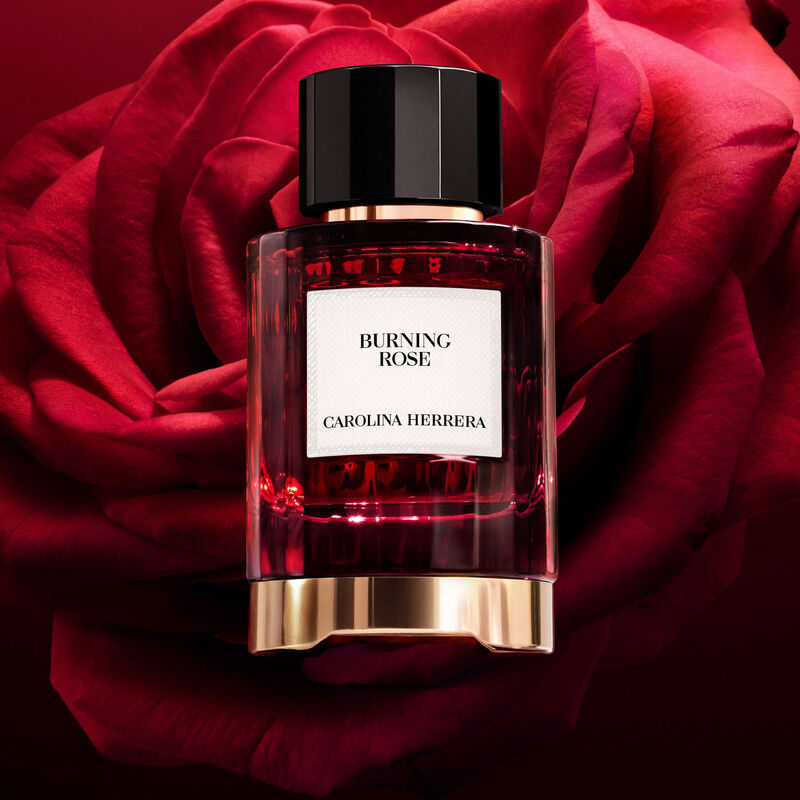 كارولينا هيريرا عطر بيرننغ روز