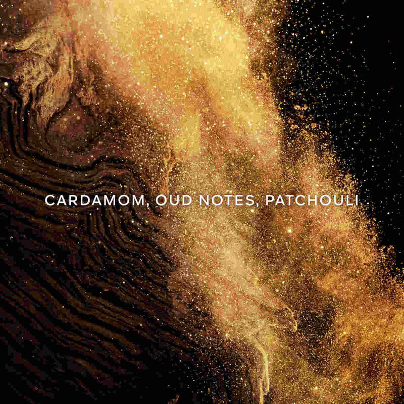 جيرلان ابسولو أليجوريا  إبيس إكسكيس