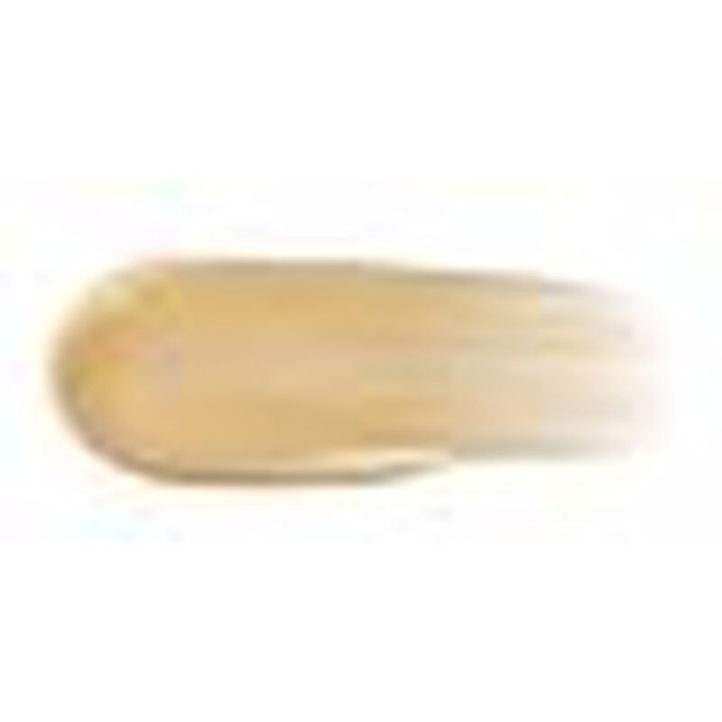 Skin Beauty Perfecting & Protecting Foundation SPF 35 isadora skin beauty perfecting & protecting foundation spf 35