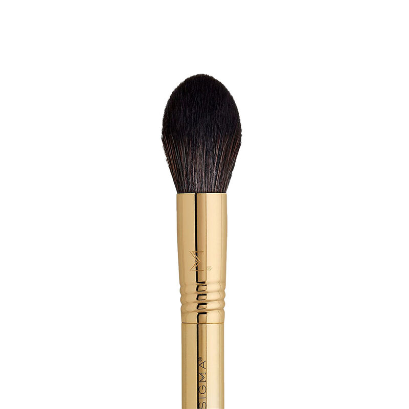 sigma beauty obsessed brush set