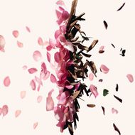 faces irresistible eau de parfum