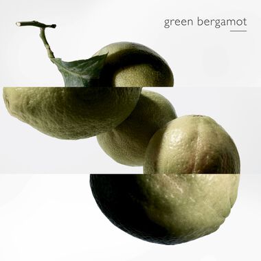 faces terre d herm s eau intense v tiver eau de parfum