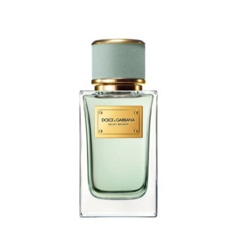 dolce & gabbana velvet infusion