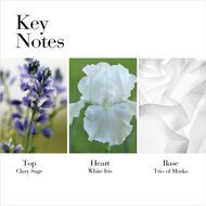 faces white tea eau de toilette