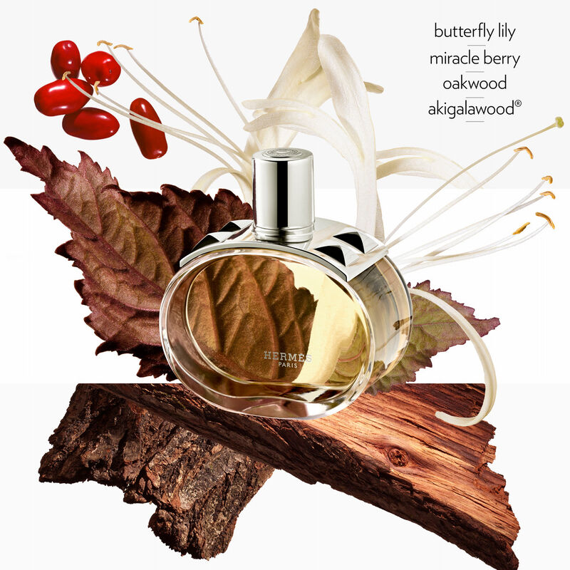 hermes barenia
