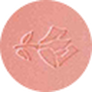 faces blush subtil 02 rose sable