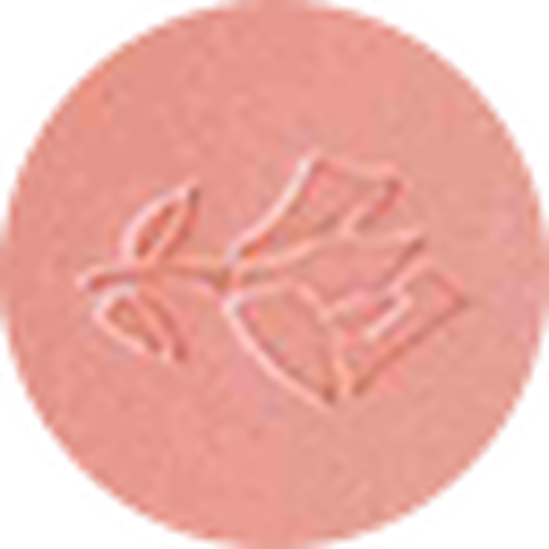 لانكوم blush subtil 02 rose sable