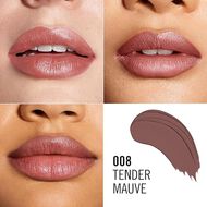 Rimmel Lasting Finish Lipstick - Shade 008 faces rimmel lasting finish lipstick shade 008