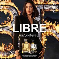 faces libre absolu platine