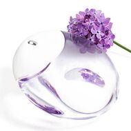 faces عطر أي أم أ دروب ديزي أو دو برفان