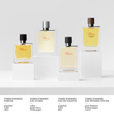 faces terre d herm s eau de toilette