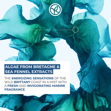 faces معطر الجسم والشعر   بخلاصة فينيل البحر