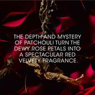 Le Vestiaire Rouge Velours faces le vestiaire rouge velours