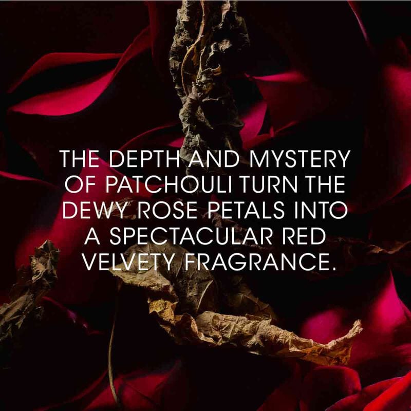 yves saint laurent le vestiaire rouge velours