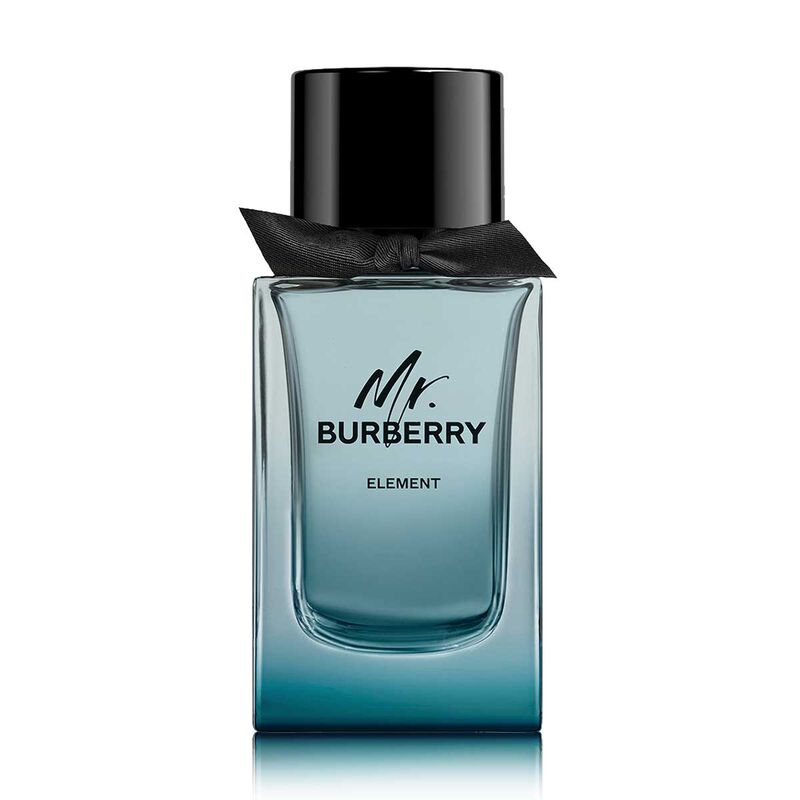 burberry burberry mr. burberry element eau de toilette