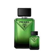 faces paradigm edp bundle