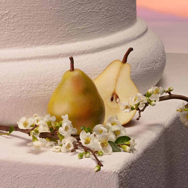 دولتشي أند غابانا ماء عطر ماي ديفوشن إينتنس