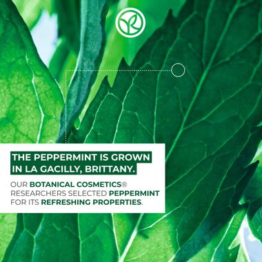 faces pure menthe the mattifying powder lotion 150ml