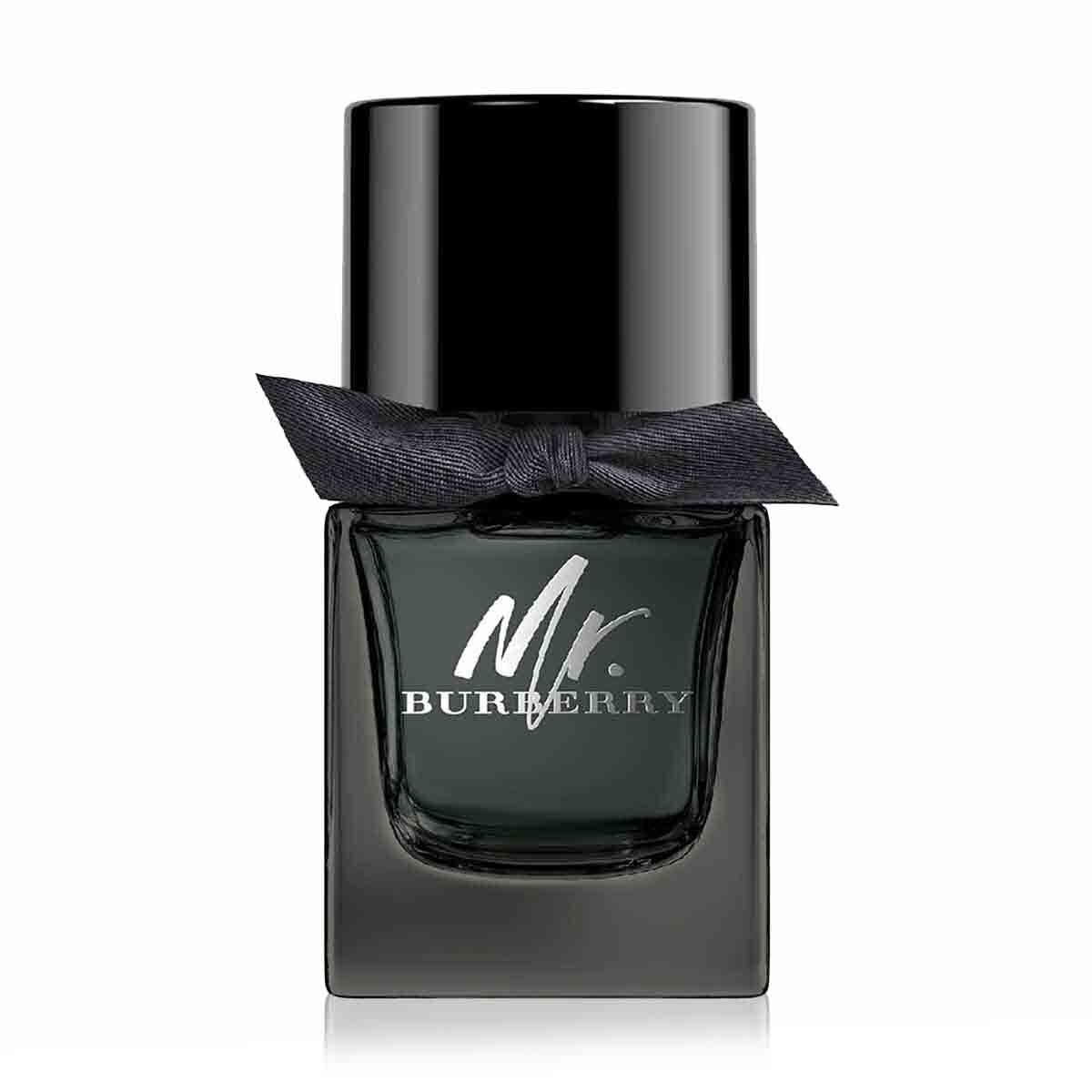 Mr burberry edt 50ml sales