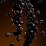 ذا ون بارفان faces ذا ون بارفان