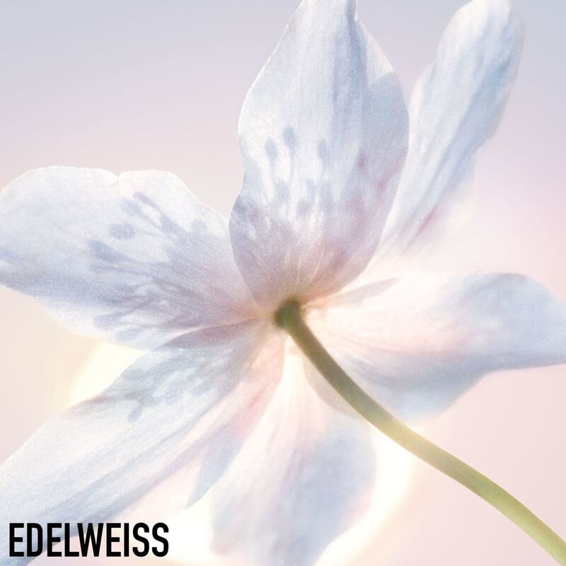 Diorsnow Essence of Light Purifying Brightening Foam 100g dior diorsnow essence of light purifying brightening foam 100g