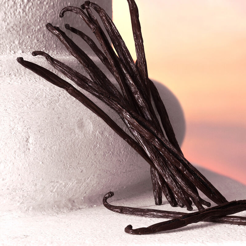 dolce & gabbana devotion intense