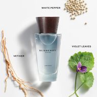عطر تاتش أو دو تواليت faces عطر تاتش أو دو تواليت