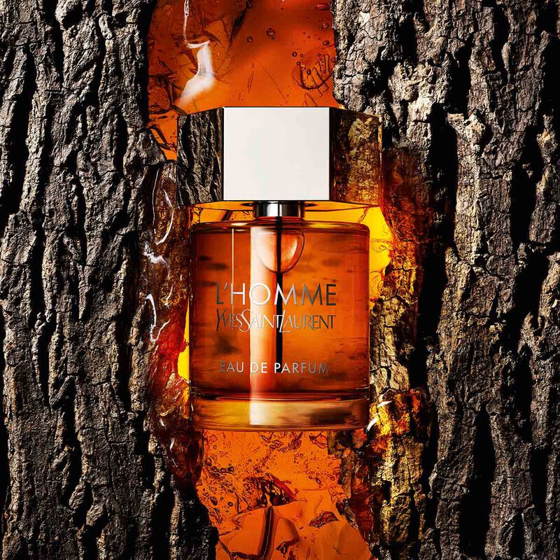 yves saint laurent l'homme eau de parfum 100ml