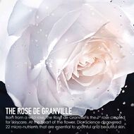 faces dior prestige le micro serum de rose yeux