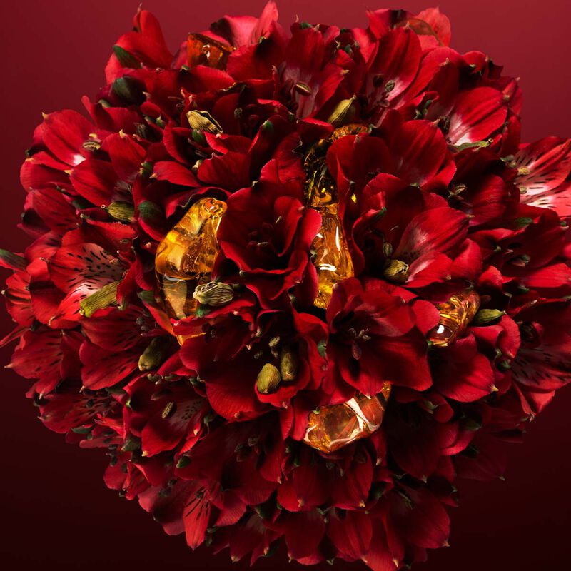 كارولينا هيريرا ??? ????????? ???