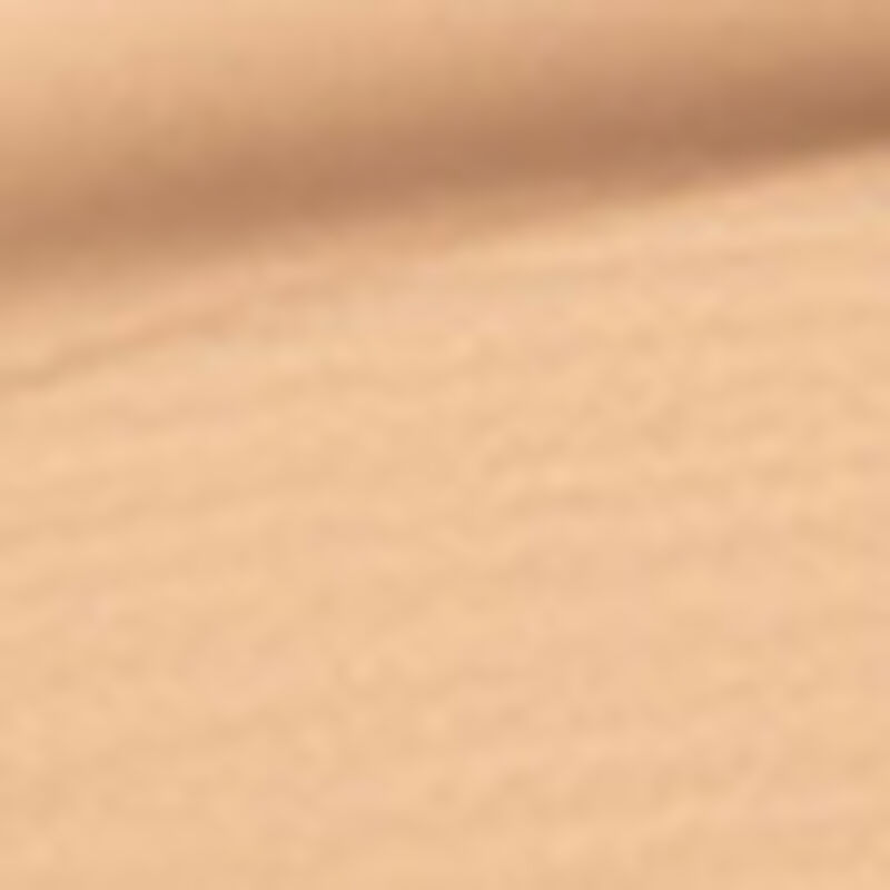 shiseido synchro skin selfrefreshing cushion compact foundation