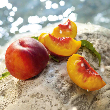 faces lb edt 100ml le 2023