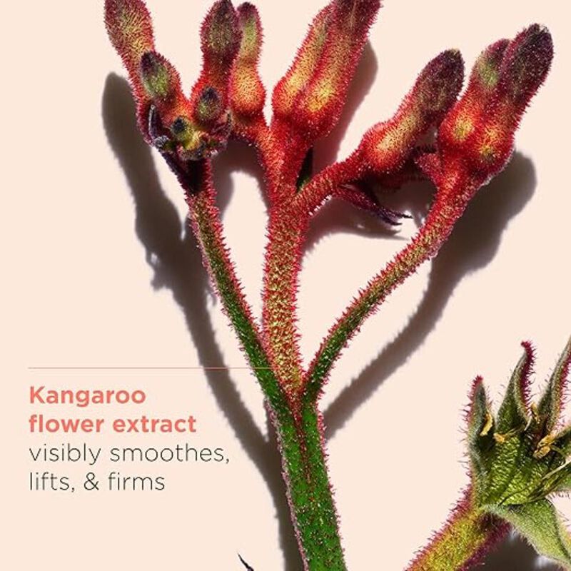 كلارنس extra firm day ast 50ml