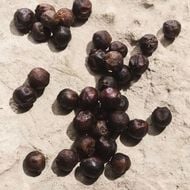 faces light blue pour homme capri in love