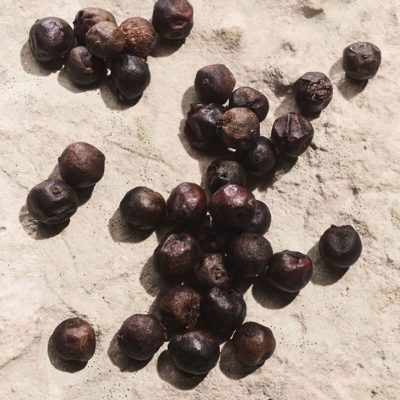 dolce & gabbana light blue pour homme capri in love