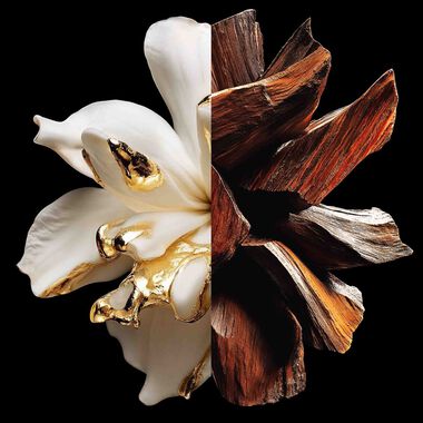 faces l interdit parfum