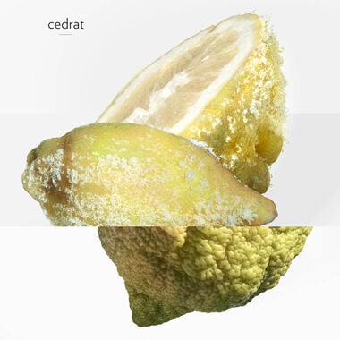 faces terre d herm s eau givr e eau de parfum